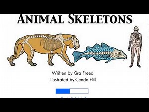 Animal Skeletons