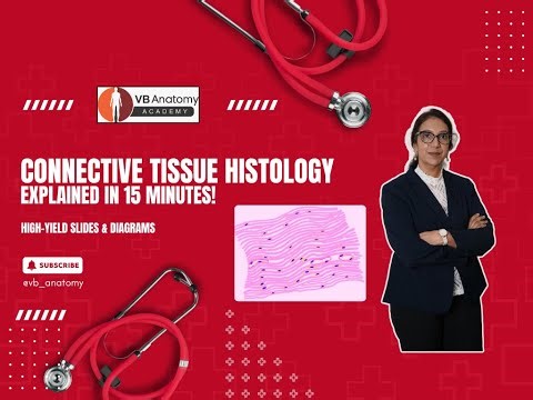 Connective Tissue Histology Explained | High-Yield Slides & Diagrams