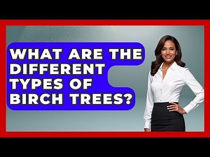 What Are The Different Types Of Birch Trees? - Exploring Campgrounds