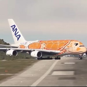 392K views · 8.6K reactions | O avião mais bonito do mundo! Avião A380 decola com a maior pinturas de tartarugas do mundo, que lindooo #amazing #canada #EUA #fly | Level Up Aero | Facebook