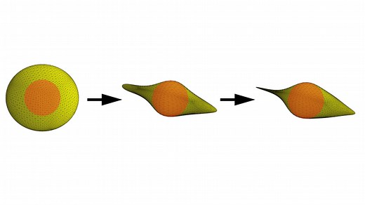 Geodesic Convolutional Shape Optimization: Optimize Complex Shapes Fast | Neural Concept