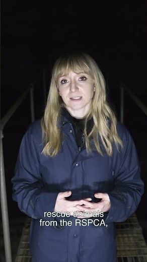 How does the RSPCA protect farm animals? EXPOSÉ