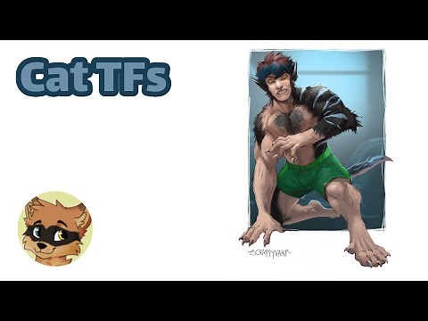 Cat Transformation / Cat TF