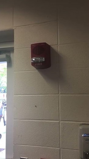 Simplex truealert speaker strobe going off