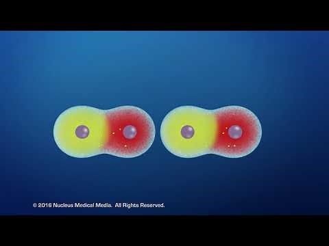 Van der Waals Forces
