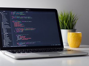 Web Programming & Development Services Online