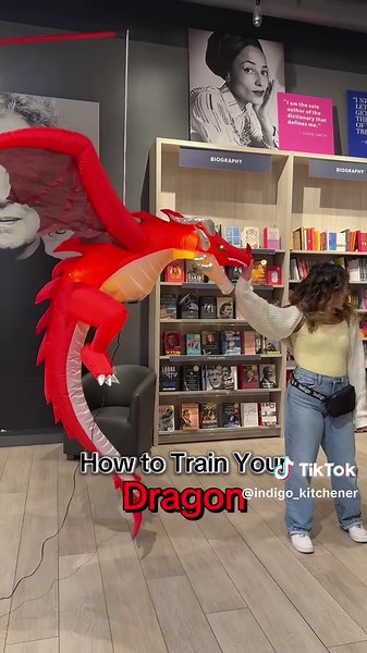 How to Train Your Dragon: Storytime and Book Collection