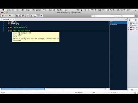 Learn How to Program Perl: Lesson 1