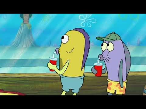 Connection Terminated