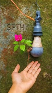 How to Create Unimaginably Beautiful Mini Bonsai Trees | Spontaneous Style #farminglife #farming