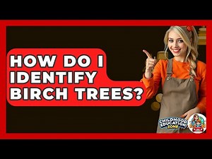 How Do I Identify Birch Trees? - Childhood Education Zone