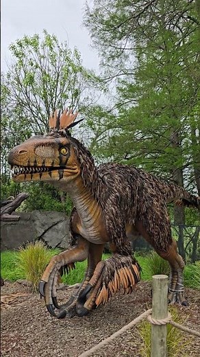 Most People Don't Know How Deadly This Dinosaur Really Was #utahraptor #facts #evolution