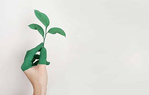 Innovative Sustainable Technologies and Green Building Materials