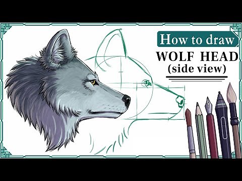 How to draw WOLF HEADS (side view) - Step by Step Art Tutorial