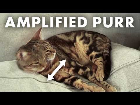 Amplifying Invisible Motion