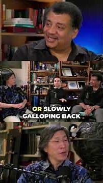 Godzilla vs Rodan My Favorite Movie Monsters!