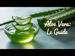Aloe Vera Préparation : Ce Que les Naturopathes Ne Vous Disent Pas !