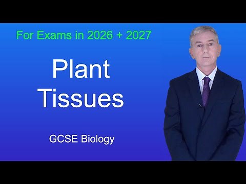 GCSE Biology Revision "Plant Tissues"