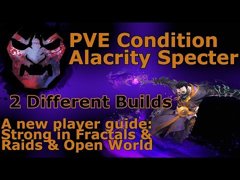 The New Players Condition Alacrity Specter Guide | 2xBuilds | Guild Wars 2 2023