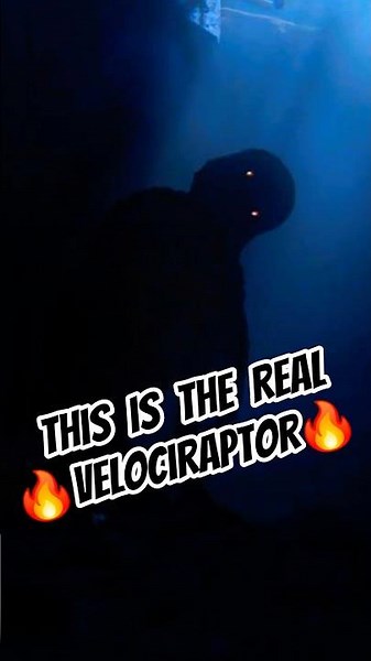 Velociraptor Real Size #velociraptor #raptor #utahraptor #jurassicpark #jurassicworld #dinosaur #rex