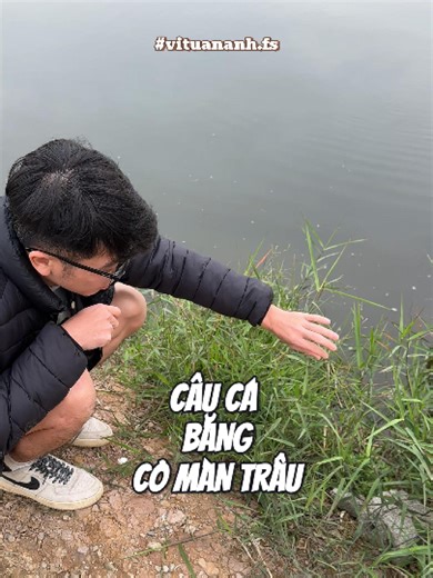 Câu Cá Bằng Cỏ Màn Trầu: Kinh Nghiệm và Mẹo