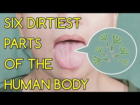 What Are The SIX DIRTIEST PARTS Of The Human Body?