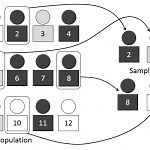 Expert Sampling / Judgment Sampling