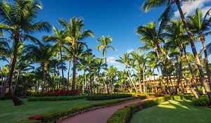 35 Inspirational Quotes On Bravery