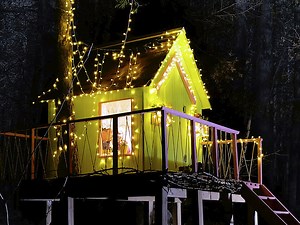 31M views · 297K reactions | DIY treehouse idea and helpful building tips for you to try this summer!  | 5-Minute Crafts | Facebook