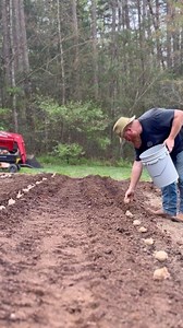 Planting potatoes - remember “eyes to the sky”. We planted 12 rows of potatoes, with some bush beans interplanted in the rows. Subscribe on YouTube to follow along on our potato growing experiment this summer. Need some garden help? Comment “Big Carrots” and I’ll send you a free garden guide to growing big carrots. | Grace Walk Farm