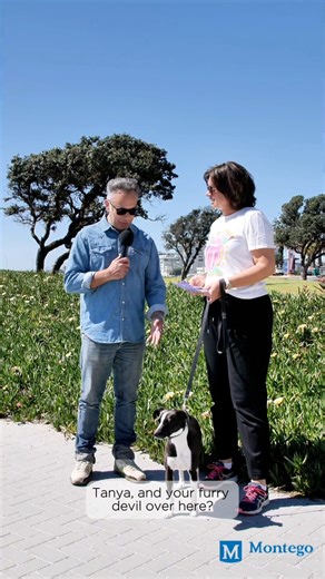 283 reactions · 12 comments | With R1 million, Blitzy’s running straight to the treat aisle and not looking back. Imagine what winning would look like to your pet! 拾 Have you entered yet? ✅ Buy any Classic Dry Food ✅ Scan the QR code on-pack or dial *120*84437# ✅ Or enter online: https://clny.co/montego Ts & Cs apply. #MontegoClassic | Montego Pet Nutrition | Facebook