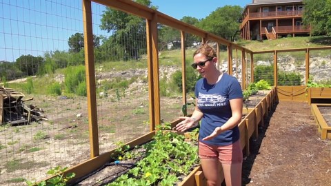 DIY Garden Drip System for Easy Irrigation Setup