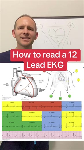 How to read a 12 lead EKG? #ekg #nursingstudents #emt #nurse | EKG