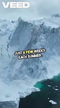 Explore the Fascinating Arctic Tundra!