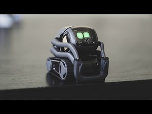 Vector is Cozmo for grownups