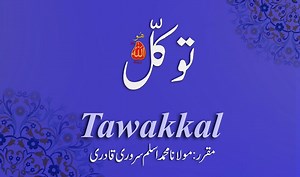 20K views · 67 reactions | Speech: Tawakkal Speaker: Molana Mohammad Aslam Sarwari Qadri Presented By: Tehreek Dawat e Faqr Address: Tehreek Dawat e Faqr,4-5/A Extension Education Town Wahdat Road Lahore,Pakistan Postal Code 54790 Phone:+9242 35436600 Mobile:+923224722766 Mobile:+923214507000 (Available on Whatsapp, Viber and IMO) #TDF #SultanulAshiqeen #SultanBahoo #SultanulFaqr #Tawakkal #islamicvideos | Sultan-ul-Ashiqeen.tv | Facebook
