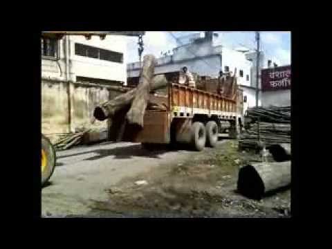 Conversion Of WOOD INTO TIMBER process