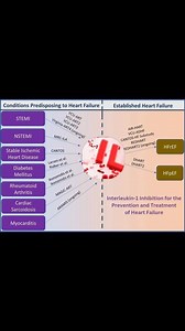 Interleukin-1 (IL-1) Inhibition for the Prevention and Treatment of Heart Failure: 🔗 https://pubmed.ncbi.nlm.nih.gov/37815298/ 🔍 Understanding IL-1 and Heart Failure: Interleukin-1 (IL-1) is a pro-inflammatory cytokine implicated in cardiovascular diseases. It plays a role in atherosclerosis, acute myocardial infarction (AMI), and heart failure (HF). IL-1 promotes plaque formation and contributes to adverse remodeling after AMI. 🚀 IL-1 Blockade as a Strategy: Clinical trials have explored blo