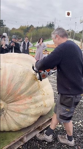 inside Biggest Pumpkin Ever 😱