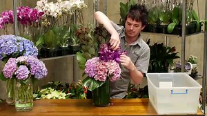 Cut Hydrangea Care — How To Keep Hydrangeas Alive In A Vase