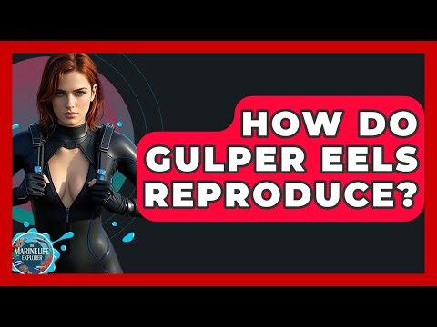 How Do Gulper Eels Reproduce? - The Marine Life Explorer