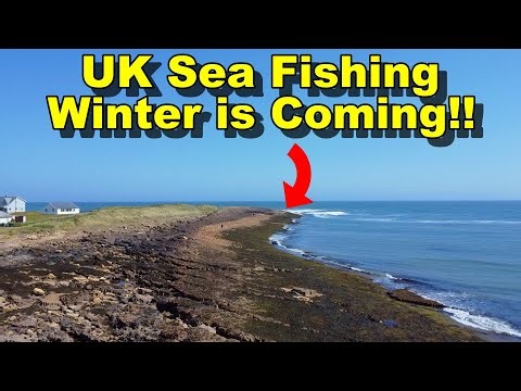 Early Winter Sea Fishing UK Targeting Cod on the North East Coast + Surprise Catch
