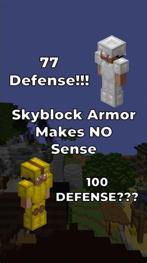 Skyblock Armor Makes NO Sense | Hypixel Skyblock