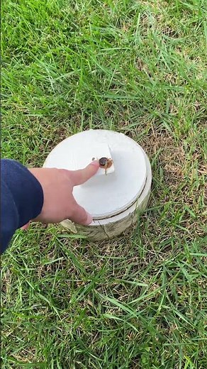 How a Simple Bolt Helps Find Your Septic