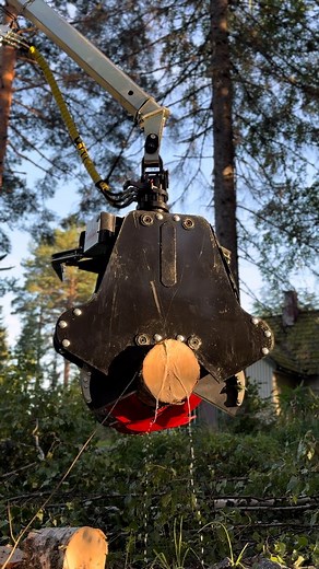 64K views · 2.5K reactions | Awesome view of cutting fresh birch  Farmikko 300TCE tree shear✂️ #farmikko #energiakoura #energiapuukoura #treeshear #metsätyöt #energiklipp #skotare #energiapuuta #energiapuu #kotimaistaenergiaa #skogsmaskin #fällgreifer #energieholz #energieholzgreifer #forsttechnik #metsäkone #forstmaschinen #forwarder | Farmikko | Facebook