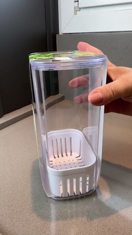 Amazon Brasil no TikTok