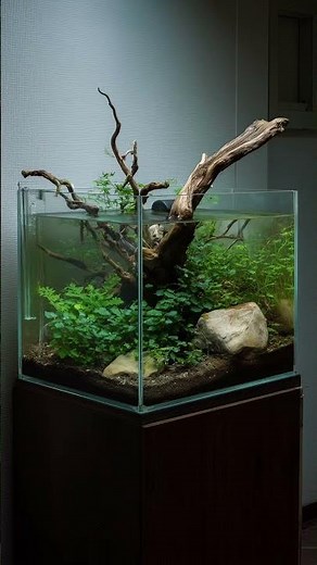 Beautiful Aquascaping Styles You Need to See