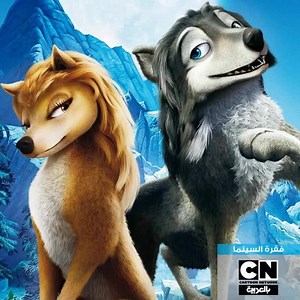 10K views · 32 shares | Grab your popcorn and get comfortable, it's time for a movie! 'Alpha & Omega 5: Family Vacation', today at 2:30 PM KSA on Cartoon Network Arabic. | Cartoon Network | Facebook