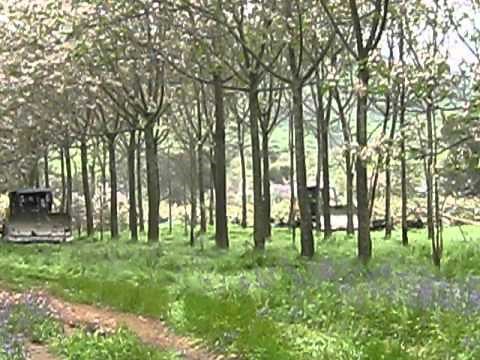 Dozers clearing trees.