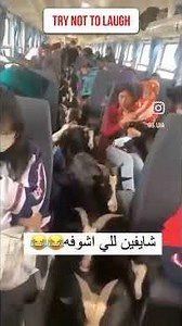 Try Not to Laugh Challenge (IMPOSSIBLE) Laugh and You Lose! Part 10